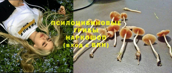 прущая мука Пестово
