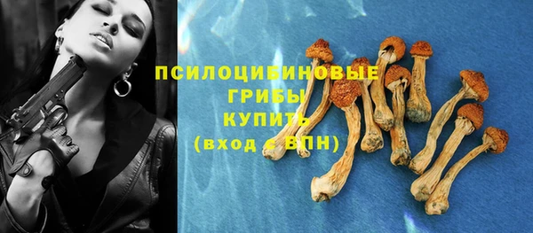 прущая мука Пестово