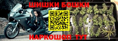стаф Тверь