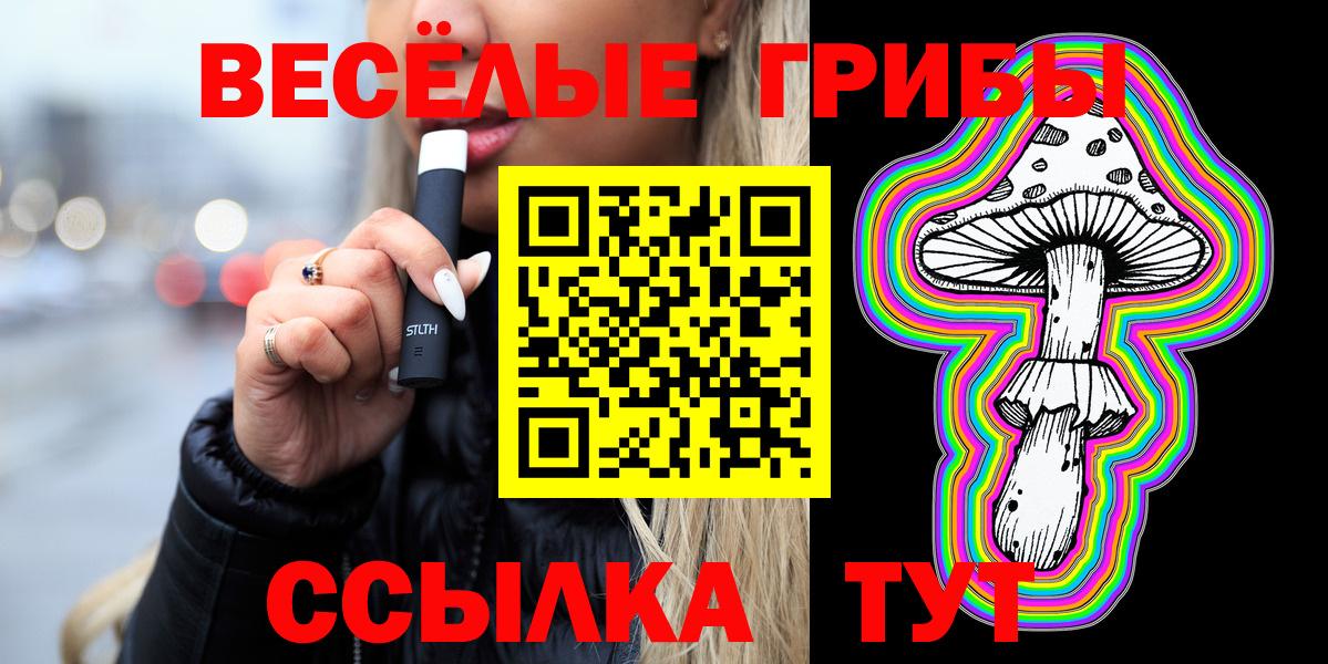 Псилоцибиновые грибы Psilocybe Барнаул